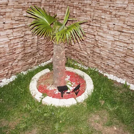 Maison De Standing Avec Jardin A 200m De La * Berck