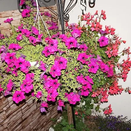 Casa de Férias Maison De Standing Avec Jardin à 200m De La