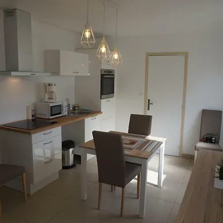 Maison De Standing Avec Jardin A 200m De La