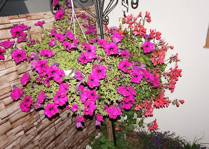 Hébergement de vacances Maison De Standing Avec Jardin à 200m De La